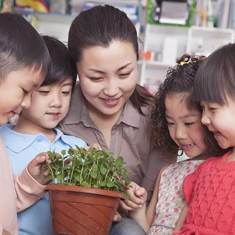 在教育这条路上