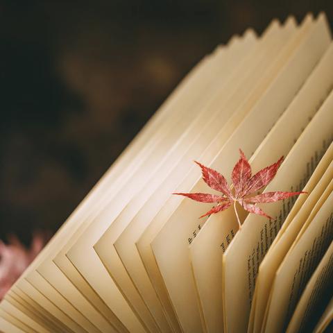 洞庭青草抒怀记