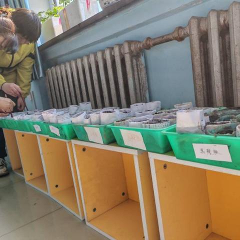 春天正当时，师生共育新苗——团山子乡第一中学劳动实践
