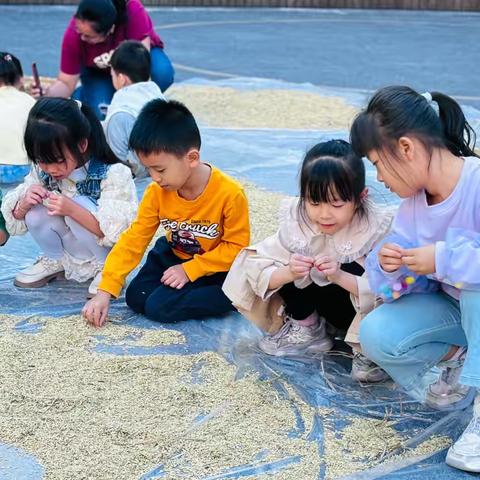 知秋•探秋•食秋🌾