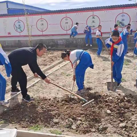 劳动润心志  实践励成长 ——辛集镇第二小学 新城民族学校教育共同体互观互学活动