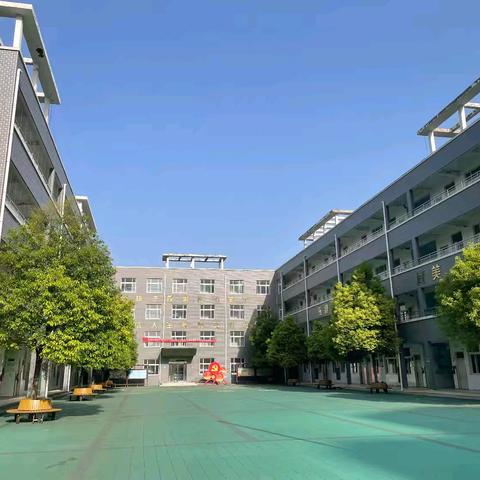 书声朗朗映暖阳，亲子共读润童心——向阳小学亲子共读进校园活动纪实