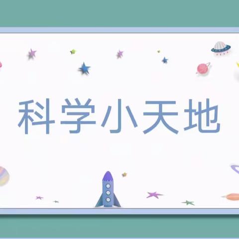 新世纪幼儿园大一班科学实验活动——《小鸟入笼》