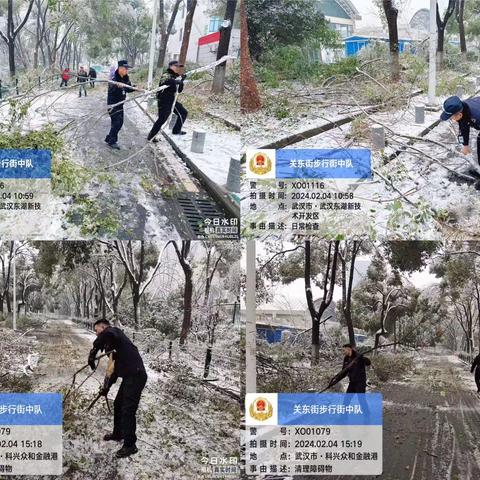 扫雪除冰清断枝 共战冰雪暖意浓