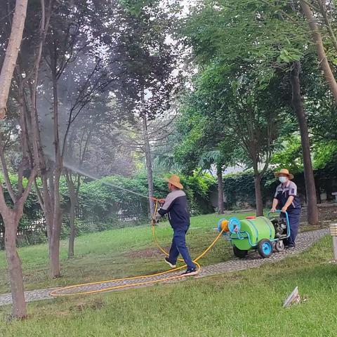 教育局服务部做好夏季植物病虫害防治工作