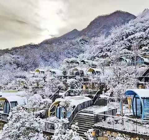 下足“绣花工” 打好“组合拳”  ——青铜关镇秦岭山水乡村建设工作纪实