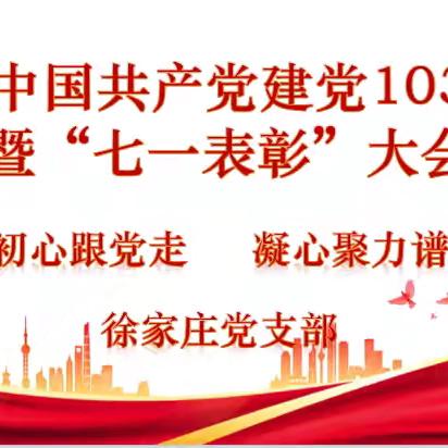 不忘初心跟党走  凝心聚力葆初心——徐家庄村开展庆“七一”主题党日活动