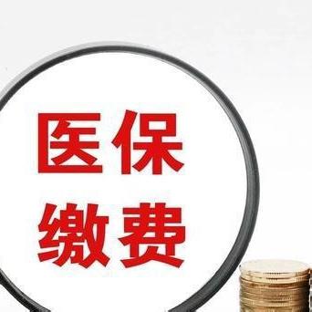 医保宣传暖人心，政策落实惠民生——徐家庄村开展医保政策宣传活动