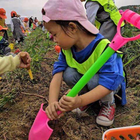 喜悦托管秋学期第二期户外趣味活动，窑鸡，窑红薯，窑玉米，培养小朋友们团队协作精神！