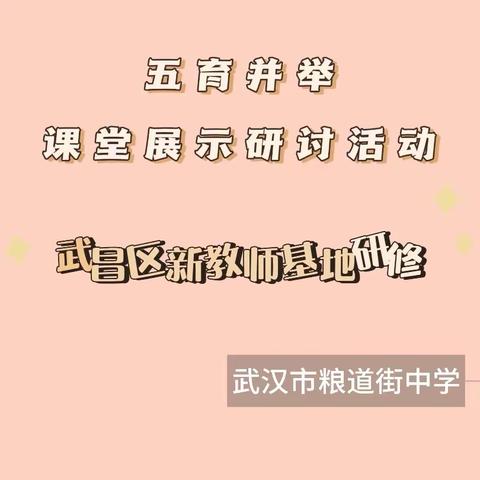 铸魂育人担使命，五育并举促发展——武昌区新教师培训