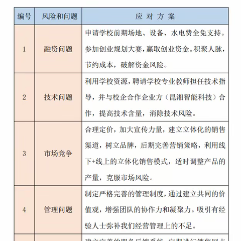 附件8 风险和对策