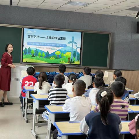 宿州市林业局进校园：萧县白土学校解锁古树名木“理论 实景”科普课 ‍ ‍ ‍ ‍ ‍ ‍