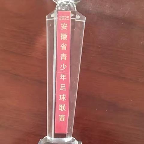 绿茵逐梦，载誉而归——萧县白土学校男女足双双夺冠