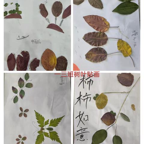 一叶知秋，一语成篇——彭婆小学曹沟校区“秋叶童话”语文组学科活动邀您共赏