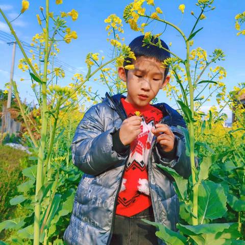 【传统节日】清明寄思 童心传承——福州市长乐区玉田中心幼儿园大溪