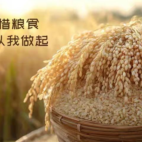 芽芽一班主题活动《一粒米的奇幻旅程》