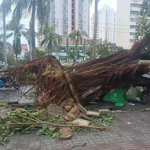 “风雨无阻，情满人间” 民革海南省直属二总支第二支部积极投入“摩羯”台风灾后救援