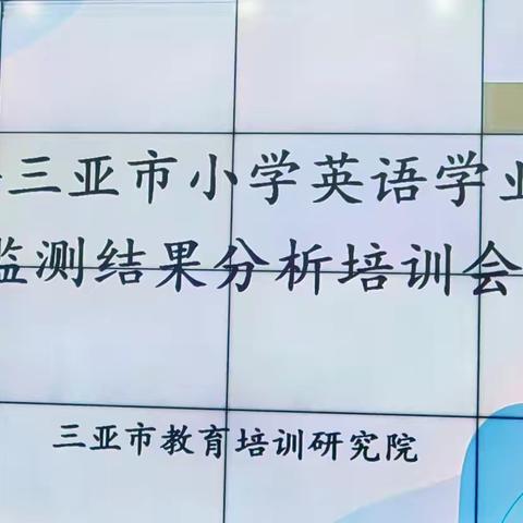 剖析小学英语监测数据，点亮教学优化之路——2024年三亚市小学英语学业质量监测结果分析