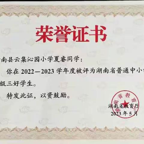 喜报——热烈祝贺我校学子夏睿同学荣获省级三好学生