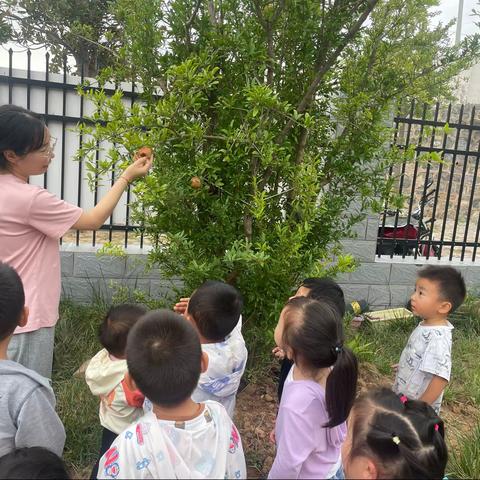 【🌻遇见美好 “幼”见成长🌻】巩义市涉村镇第一幼儿园第六周工作纪实🥰