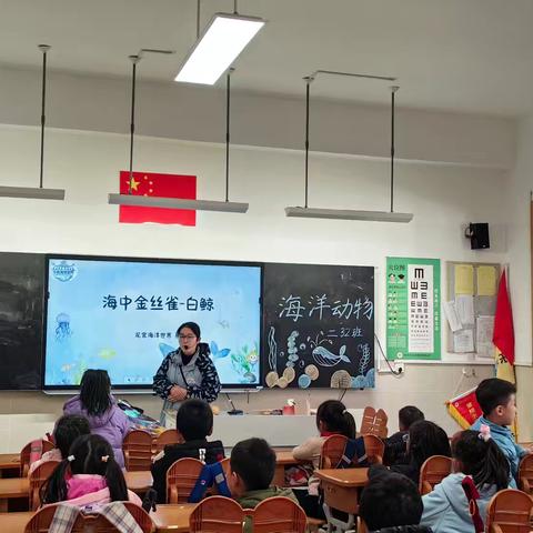 海中金丝雀—白鲸