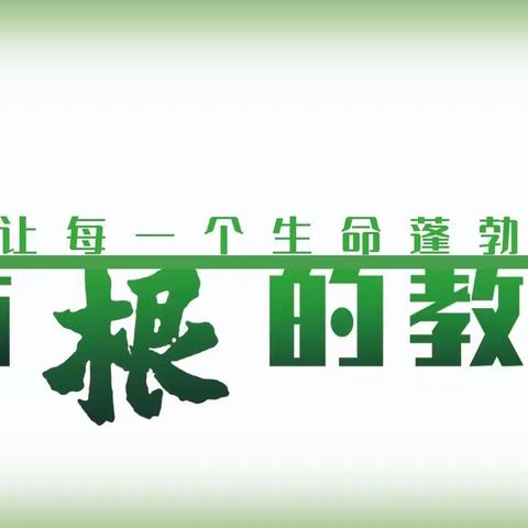 扎根沃土，固本培元——四学年根课程展示