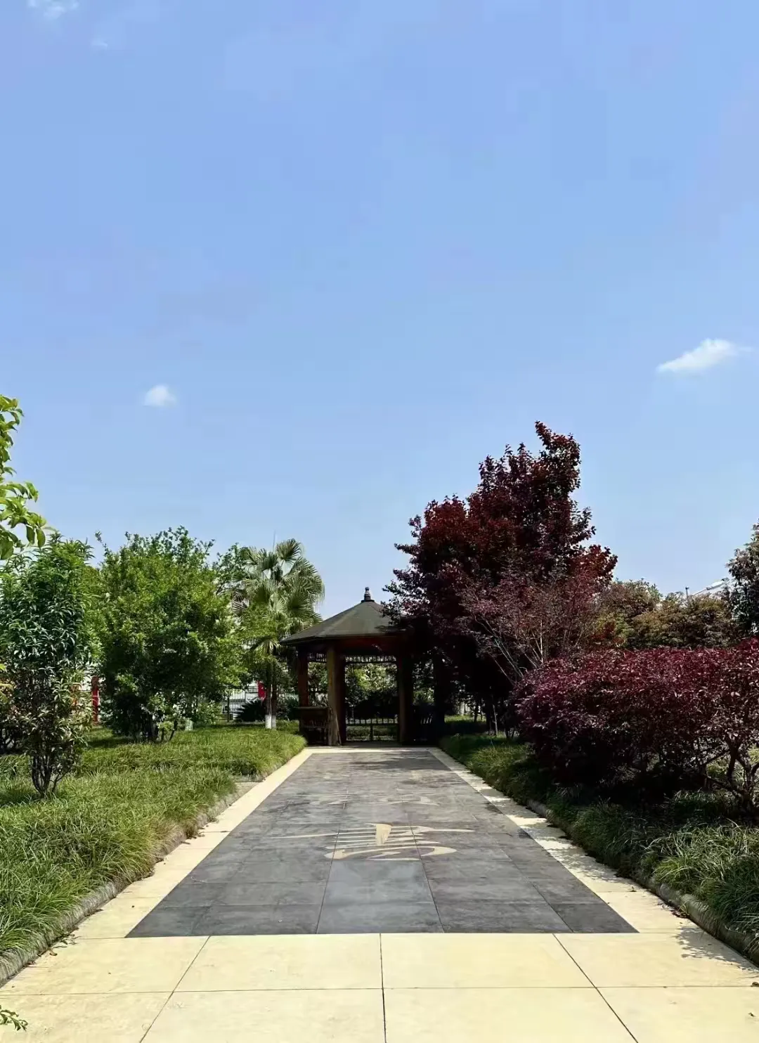 简篇-蓬溪绿然学校2024年高中招生简章