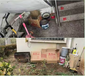 公共管理办一周工作动态 （2024年第41期）