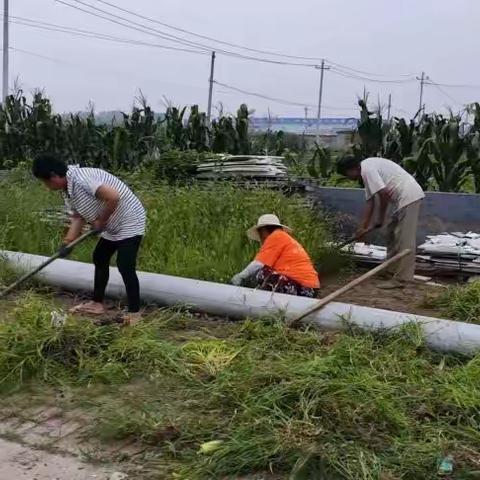 【双争有我｜新时代邻里节】郑庄子镇太平庄村举办“清洁环境 美化家园”主题新时代邻里节