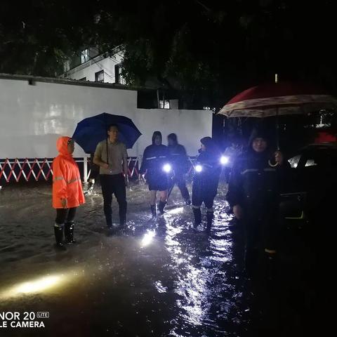 防汛抢险，白云村风雨无阻