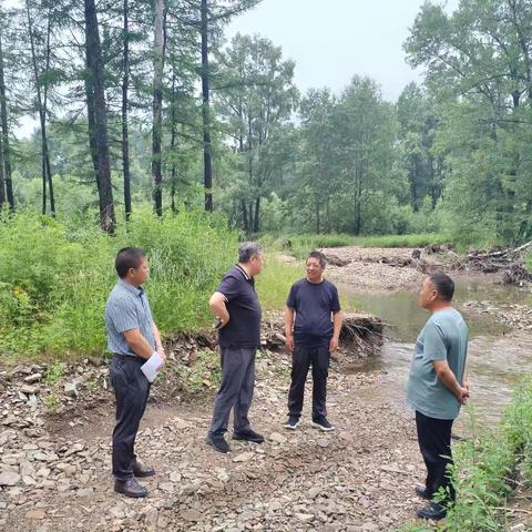 五岔沟林业局党组成员、副局长孙洪革到好森沟林场调研指导受灾重建和安全生产工作