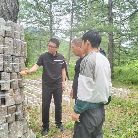 深入一线做调研 精准指导促发展