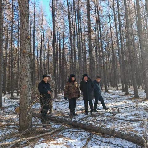 红色党旗引领绿色生态建设——五岔沟林业局党组成员深入好森沟林场督导检查森林可持续经营试点工作