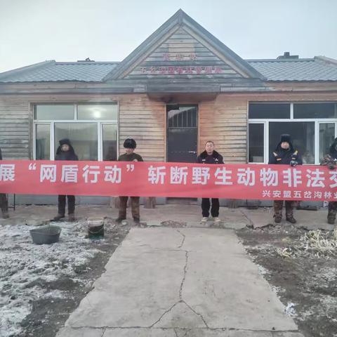 红色党旗引领绿色生态建设——好森沟林场党支部开展“网盾行动2025”野生动物保护宣传活动