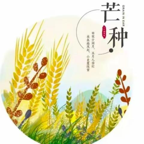 芒种至，仲夏始——半岛印象幼儿园芒种节气活动