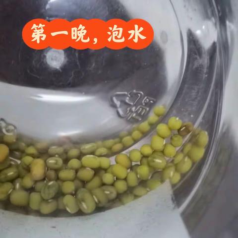 我的植物观察日记