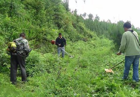 『Twilight』的文章