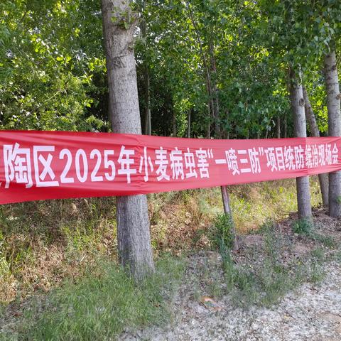 2025年定陶区小麦病虫害“一喷三防”统防统治拉开序幕