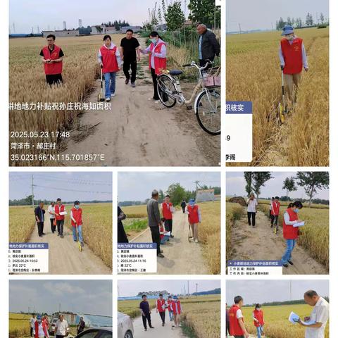 定陶区农技服务中心近期工作情况