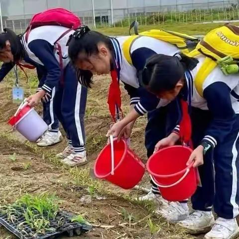 【夏令营】7天 | 少年独立成长计划，暑期“变形计”，走进耕读爷爷的“家”