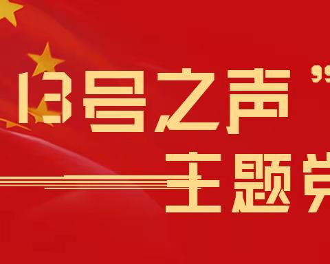 罗城头街道铁路社区党委开展“学思想、解难题、办实事”13号之声主题党日活动