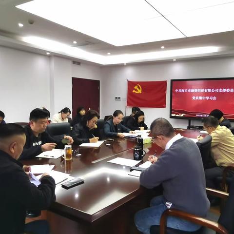 海口融资担保党支部召开党员集中学习会暨发展党员大会