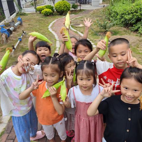 【一周动态】百色市深圳小镇幼儿园第十八周精彩回顾