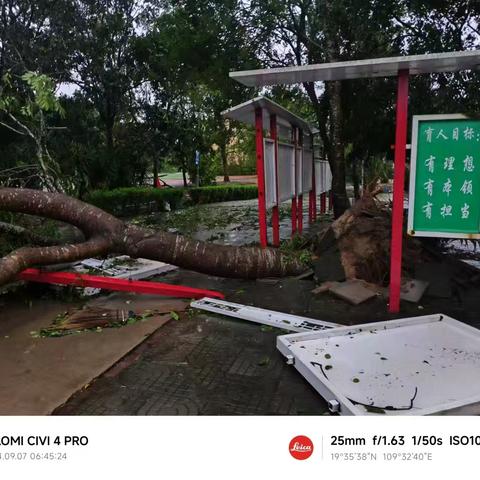 无惧风雨肆虐，守护美丽校园——儋州川绵中学积极开展台风过后清理恢复工作