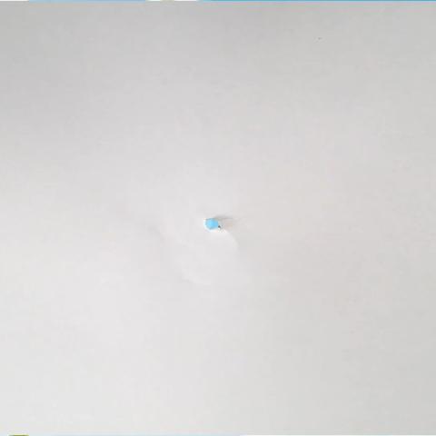 校本课程非遗美食展示