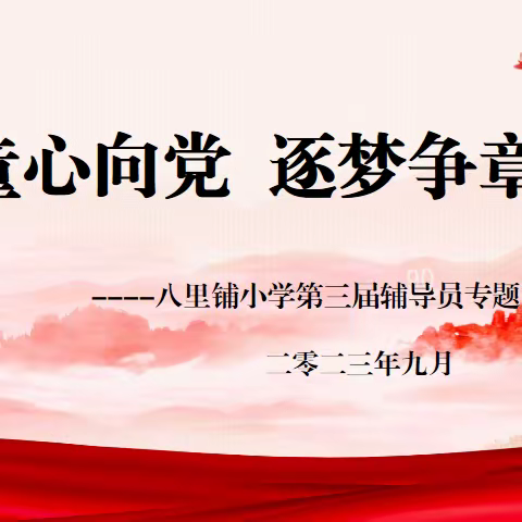 【“三抓三促”行动进行时】童心向党    逐梦争章——八里铺小学第三届辅导员专题培训