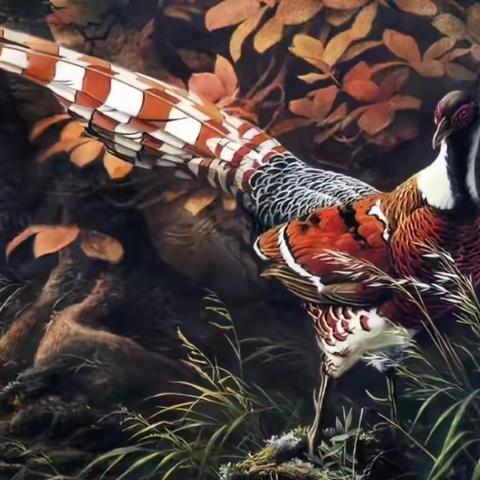 《百鸟图》欣赏