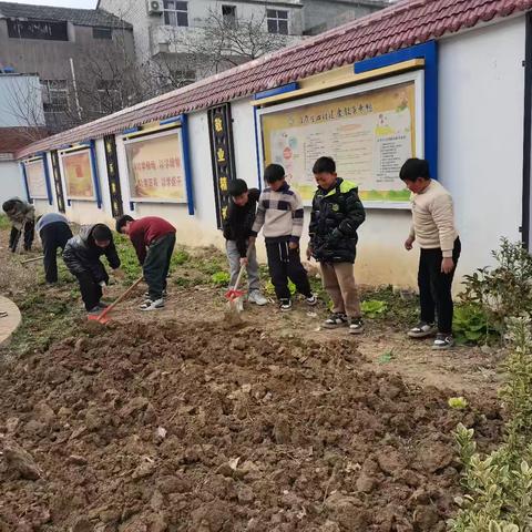 “蔬”香为伴    “菜”满校园