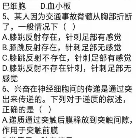 编写一张擅长的学科试卷