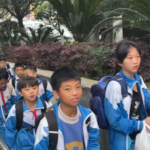 沿河土家族自治县第二小学 五年级（4）班 “拥抱魅力净峰·探索自然奥秘”两天一夜研学活动